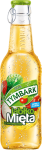 Tymbark Apple Mint Drink 250ml