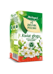 Herbata Ziołowa Zielnik Polski Głóg 20x2G Herbapol